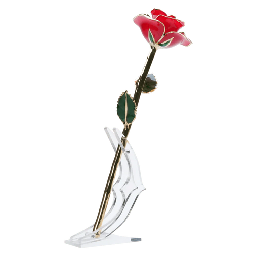 24k Gold Dipped Rose